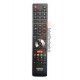 کنترل LED - LCD هایسنس RM-L1365